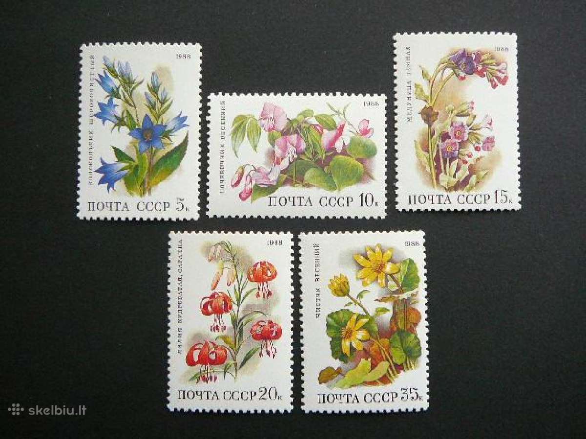 Misko geles Ssr 1988 Mnh s5847
