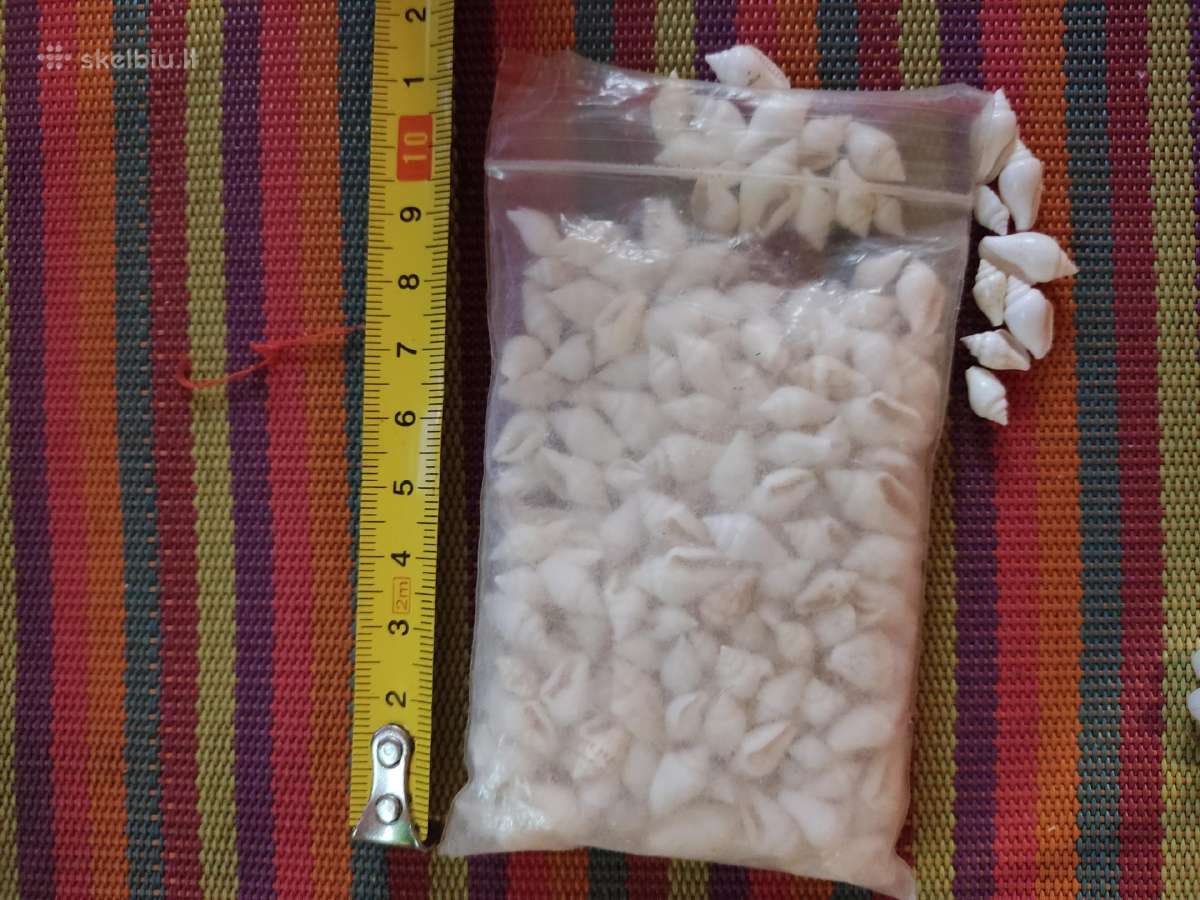 Parduodu kriauklytes dekorui ar dirbiniams-5€