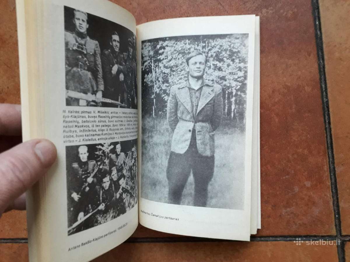Kęstutis K. Girnius "Partizanų kovos Lietuvoje" - nuotraukos Nr. 11