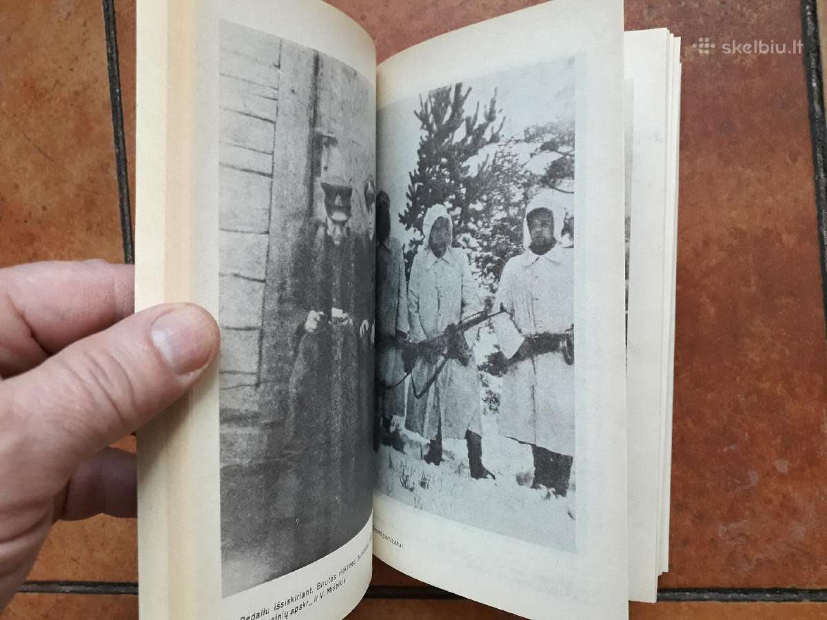 Kęstutis K. Girnius "Partizanų kovos Lietuvoje" - nuotraukos Nr. 7