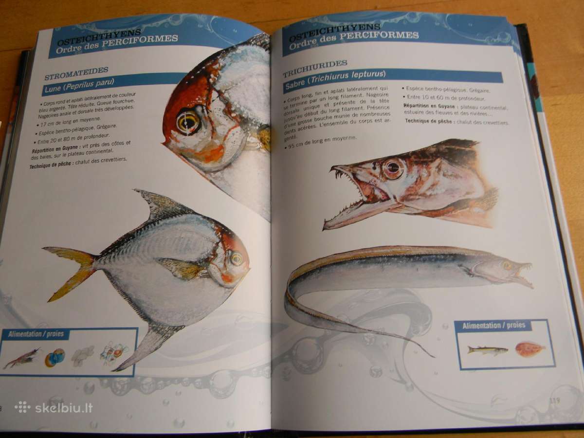 Knygos uzsienio kalba - nuotraukos Nr. 3