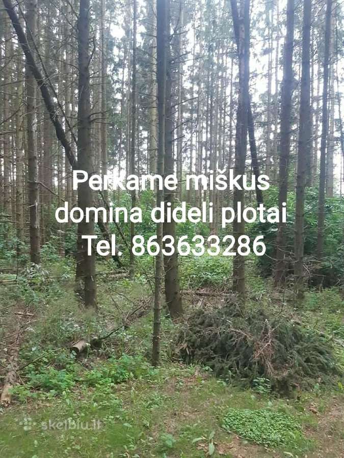 Sausos Malkos,atraižos, žvyras, smėlis, Radviliški - nuotraukos Nr. 28
