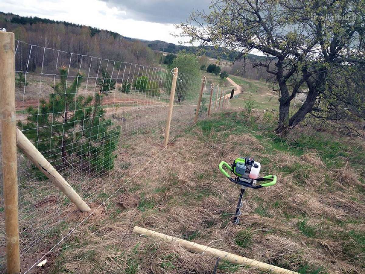 Gripple *Barbed Wire - Gripple Spygliuotai vielai - nuotraukos Nr. 14