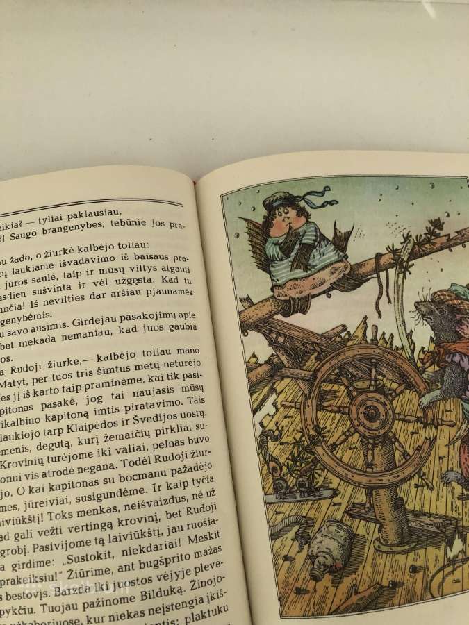 Knyga “Ko verkė plekšnytė" - nuotraukos Nr. 3