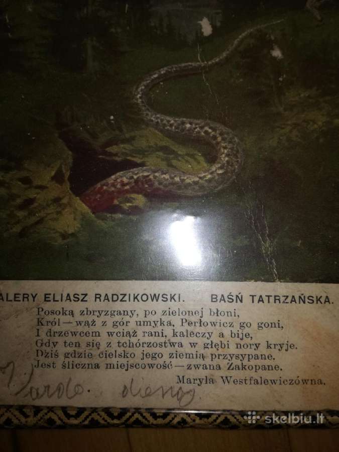 Tarpukario Lietuvos retesnes atvirutes - nuotraukos Nr. 15