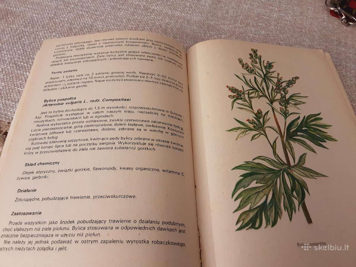 Vaistažolės vaikams lenkų kalba - nuotraukos Nr. 2