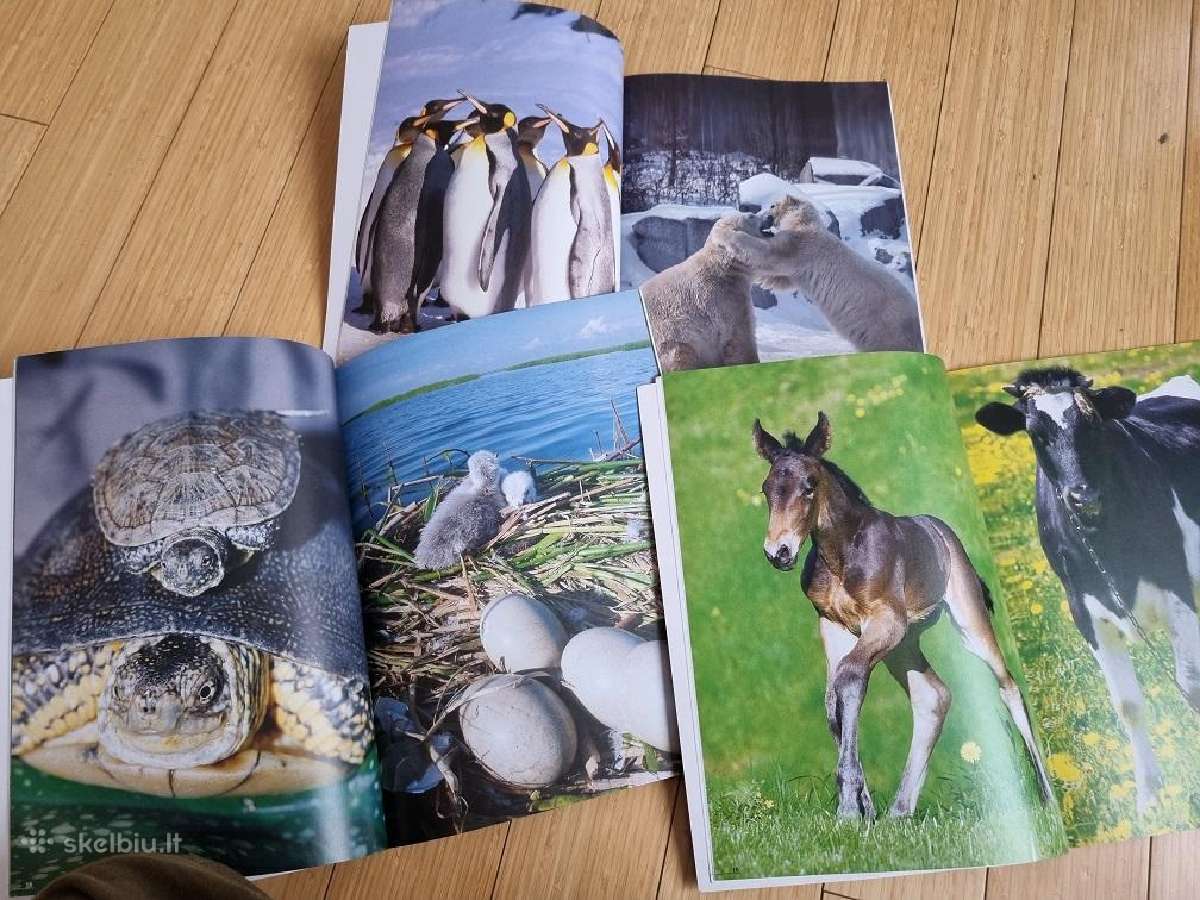 Mažyliai+žvėrys zoologijos sode+naminiai gyvūnai - nuotraukos Nr. 2