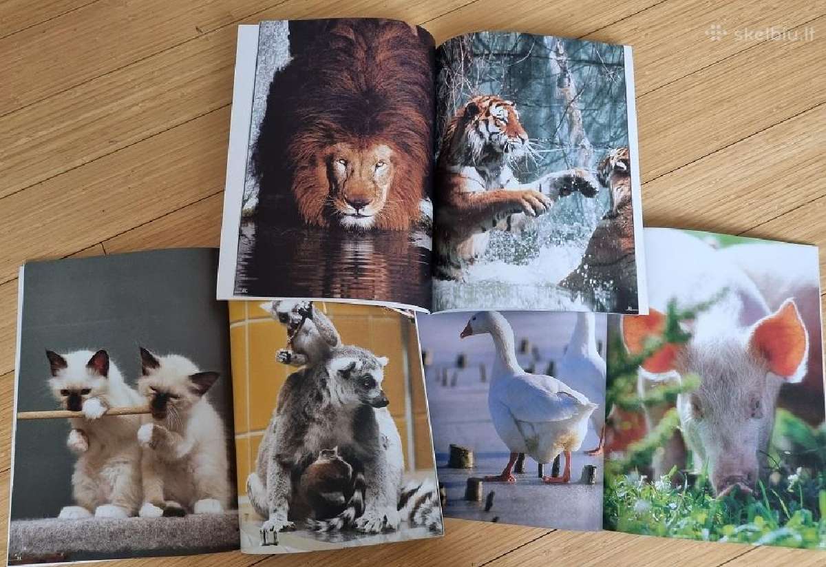 Mažyliai+žvėrys zoologijos sode+naminiai gyvūnai - nuotraukos Nr. 3