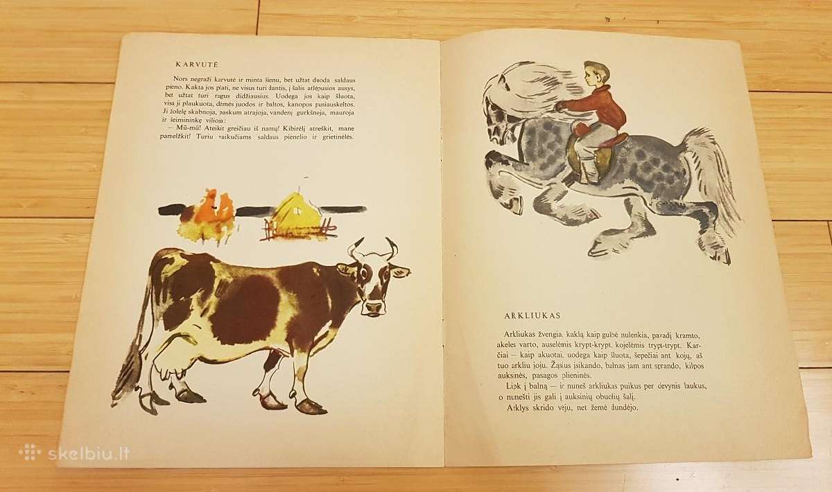 Knyga "Sargiukas" - nuotraukos Nr. 3
