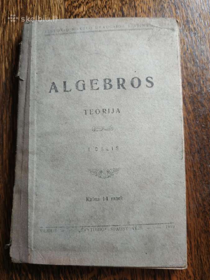 1919 m."algebros teorija"