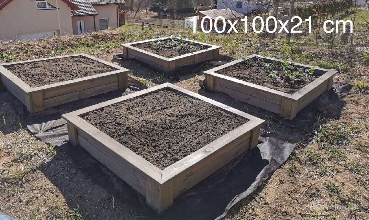 Pakeltos lysvės - nuotraukos Nr. 16
