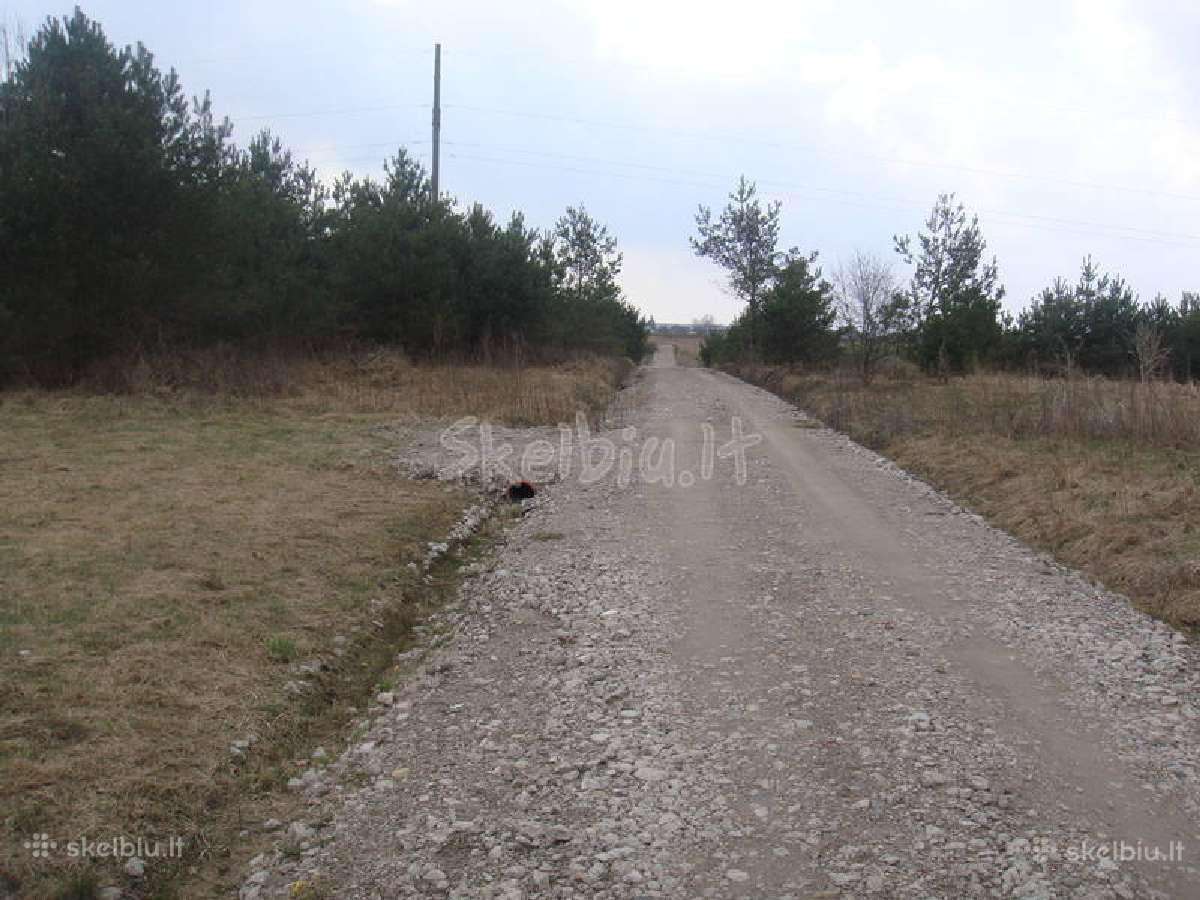 Zvyras, smelis, juodzemis, augalinis sijotas - nuotraukos Nr. 17