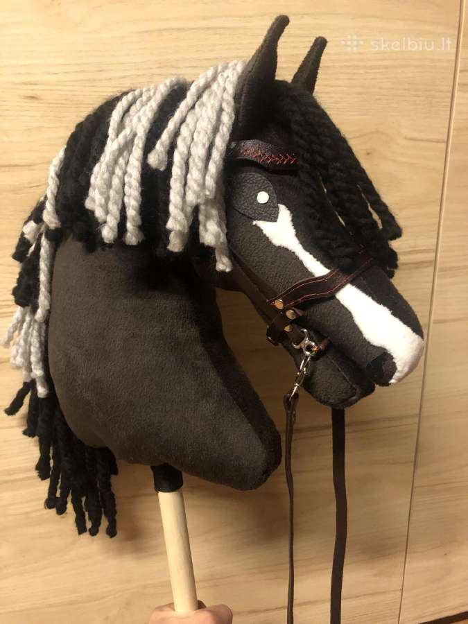 Hobby Horsing Arkliukai - nuotraukos Nr. 26
