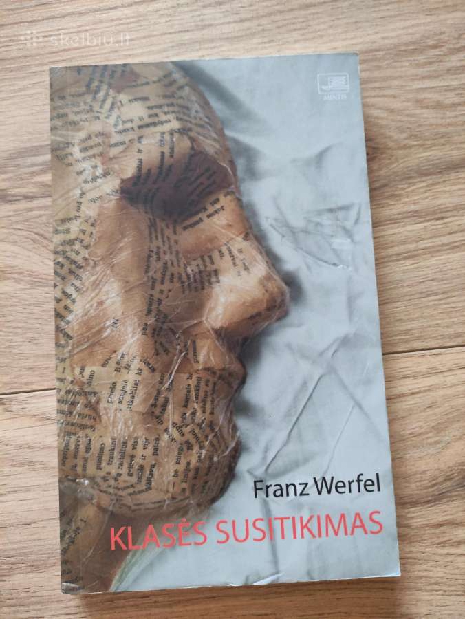 Klasės susitikimas