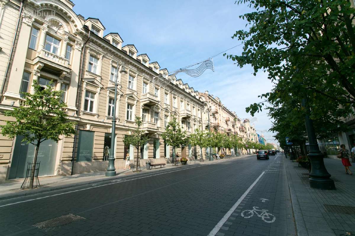 Gedimino pr. studia su parkingu - nuotraukos Nr. 13