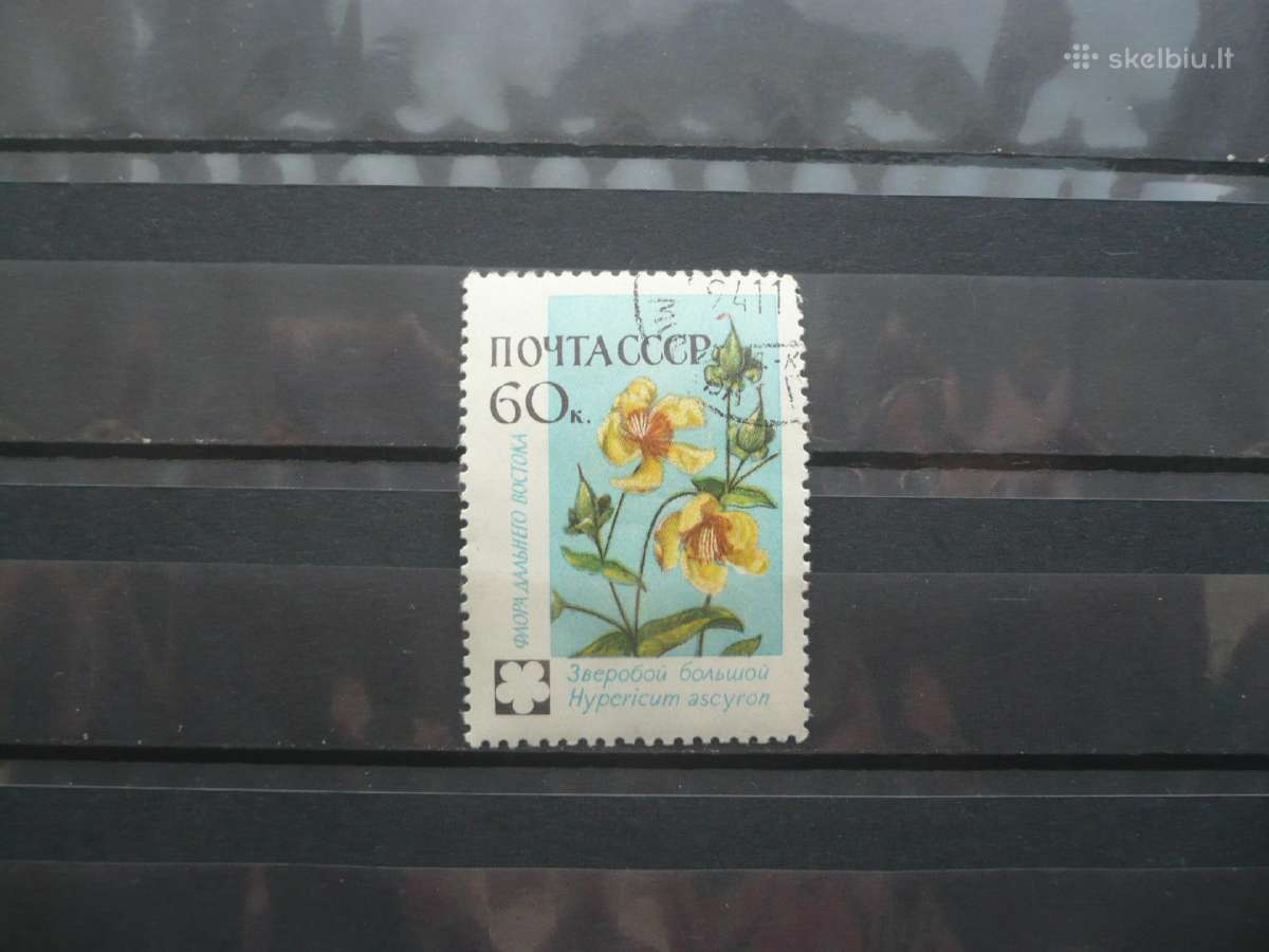 1960 Gėlės
