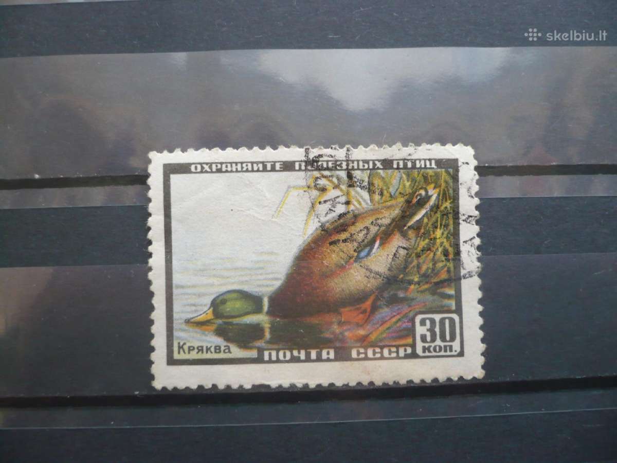 1957 m. laukinis gyvenimas