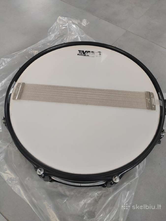 Solinukas Pearl Elx - nuotraukos Nr. 3