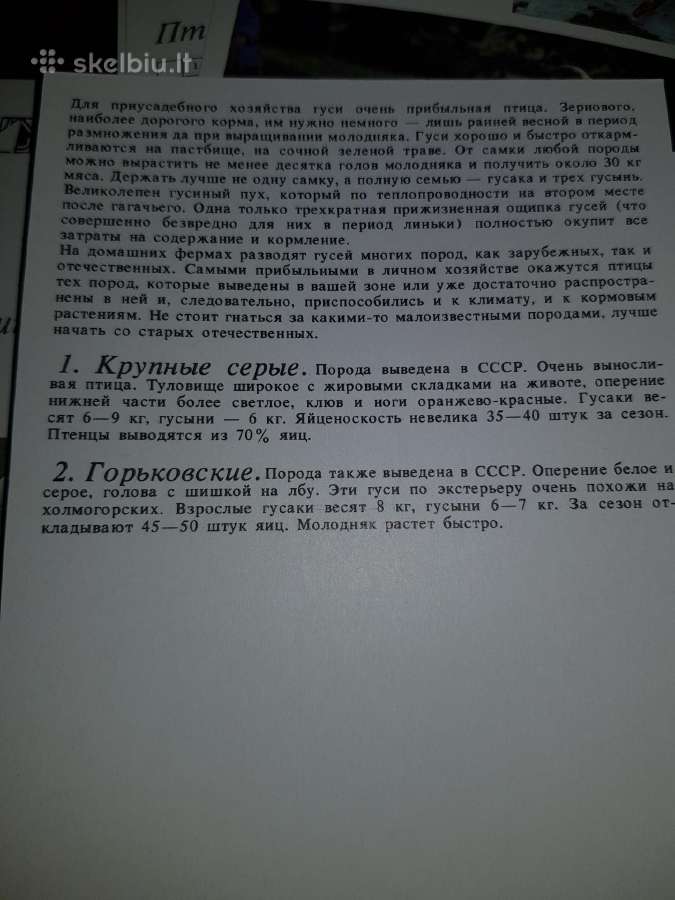 Atvirukų komplektas. - nuotraukos Nr. 3