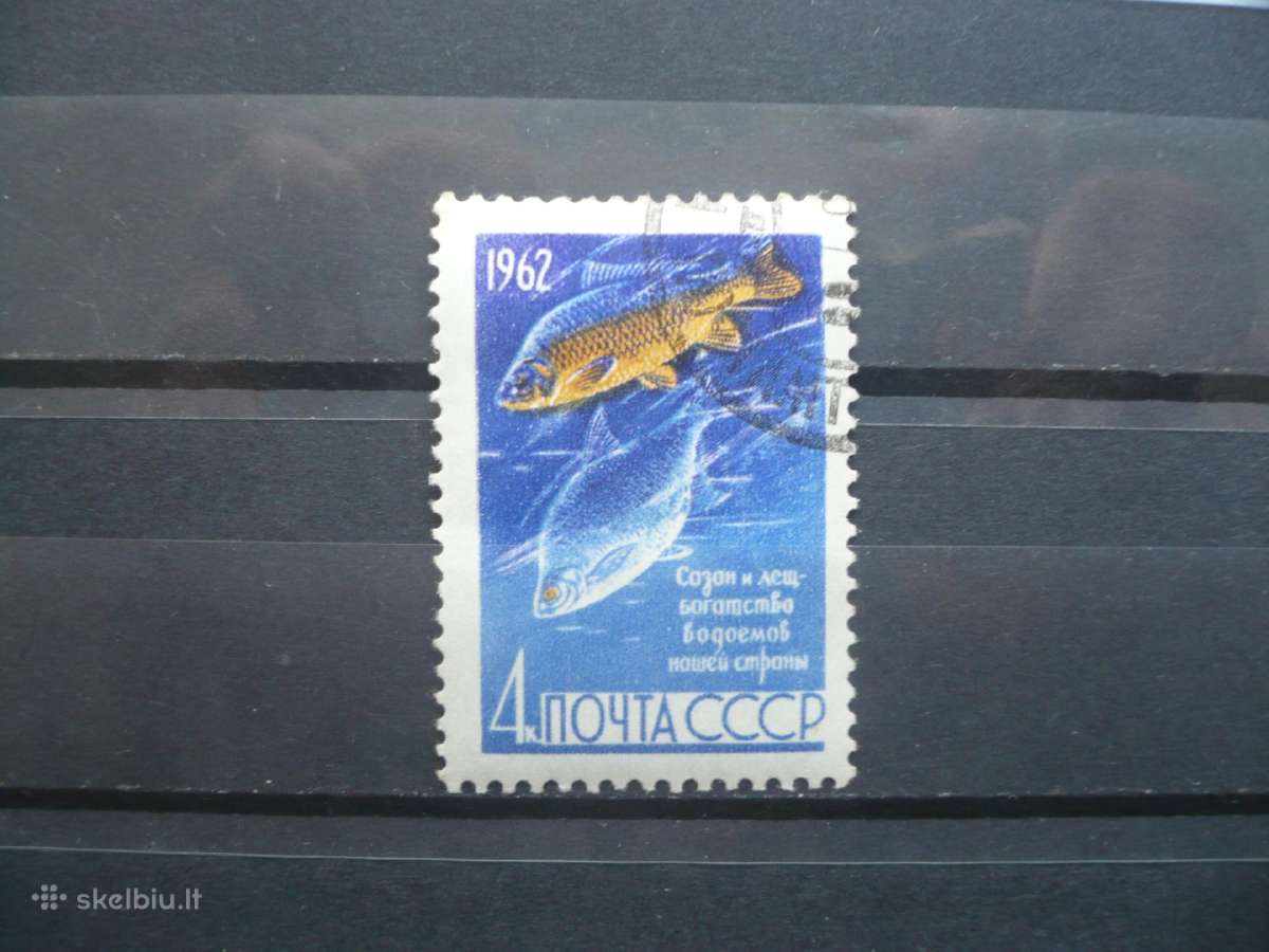 1962 m. Žuvys