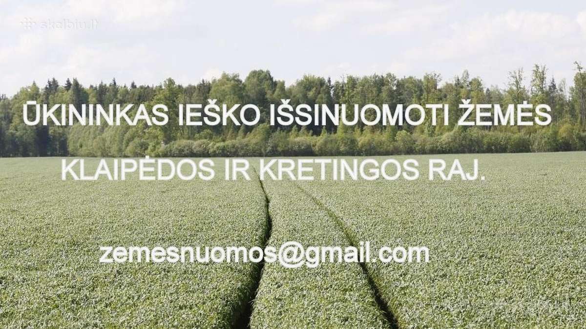 Ieškome išsinuomoti žemės Kretingos ,Klaipėdos raj