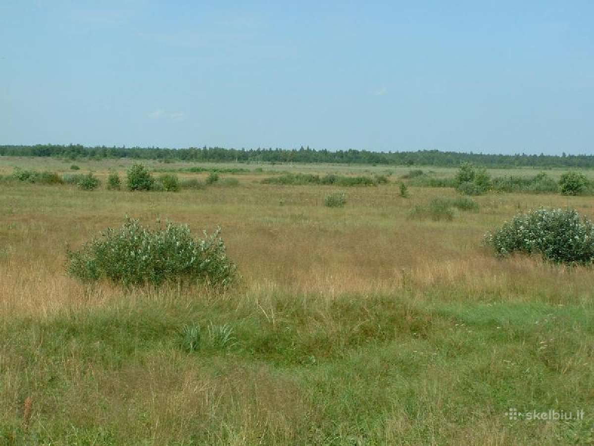 Ieškome išsinuomoti žemės Kretingos ,Klaipėdos raj - nuotraukos Nr. 3
