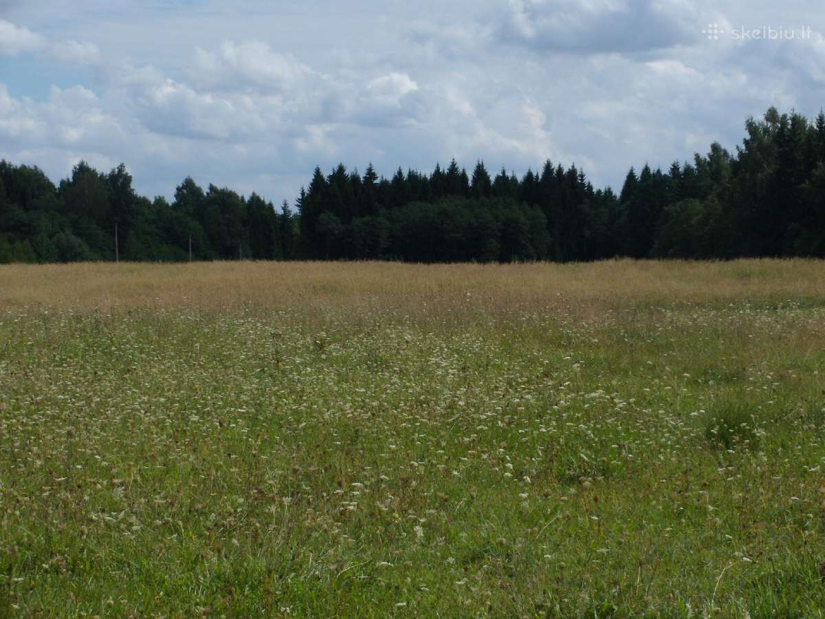 Ieškome išsinuomoti žemės Kretingos ,Klaipėdos raj - nuotraukos Nr. 4