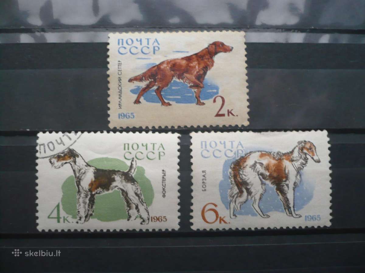 1965 Medžiokliniai ir tarnybiniai šunys