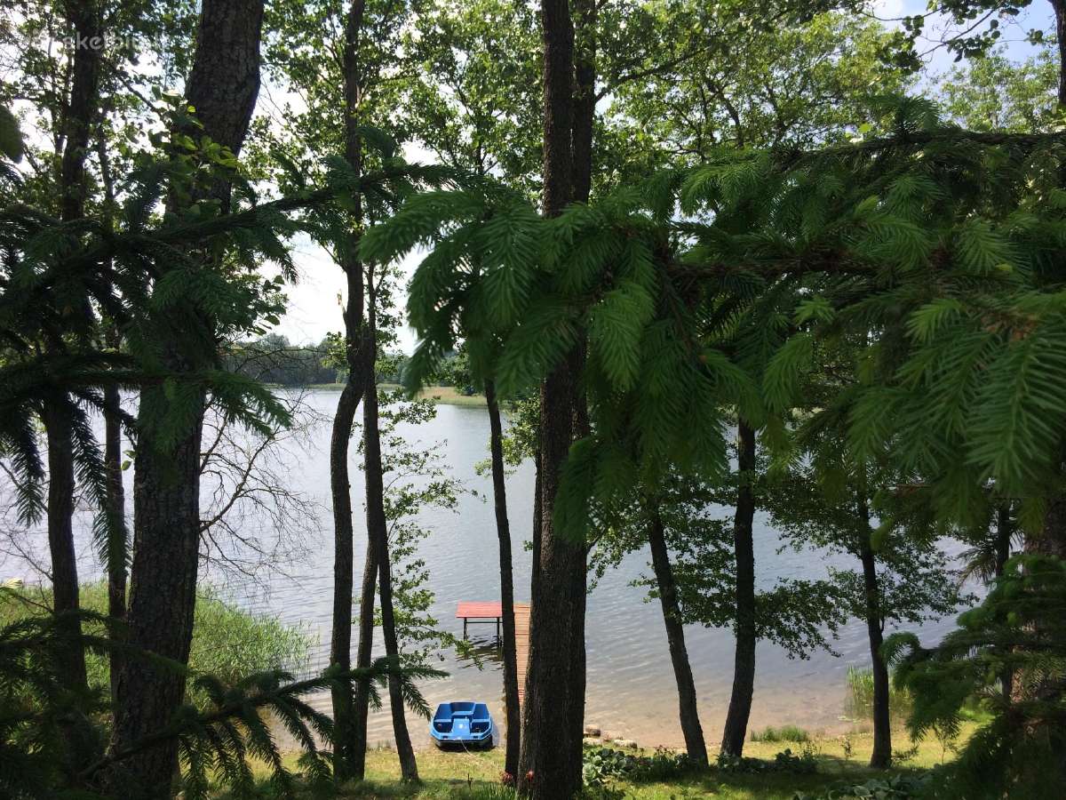 Sodybos ir baidarių nuoma Alytaus rajone - nuotraukos Nr. 31