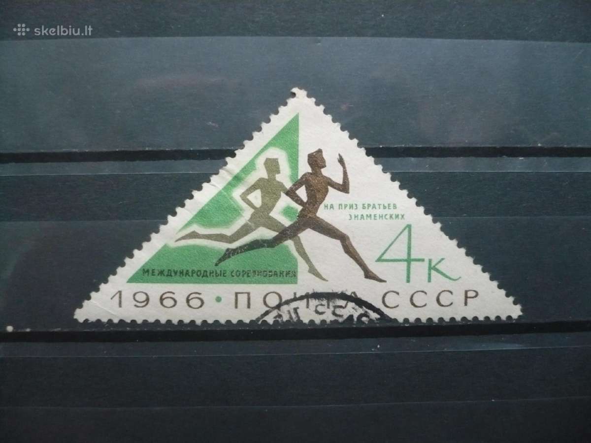 1966 m. tarptautiniai sporto renginiai