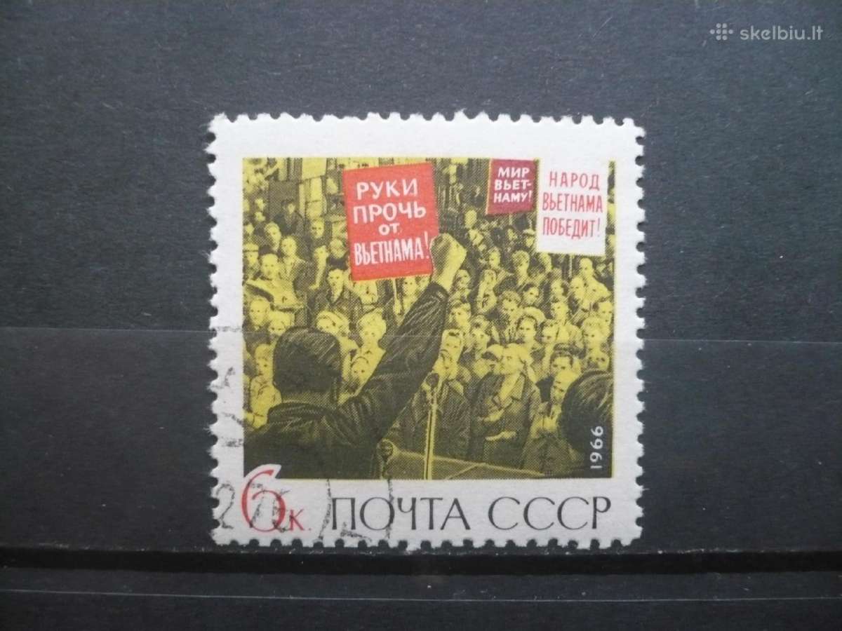 1966 m. karas Vietname