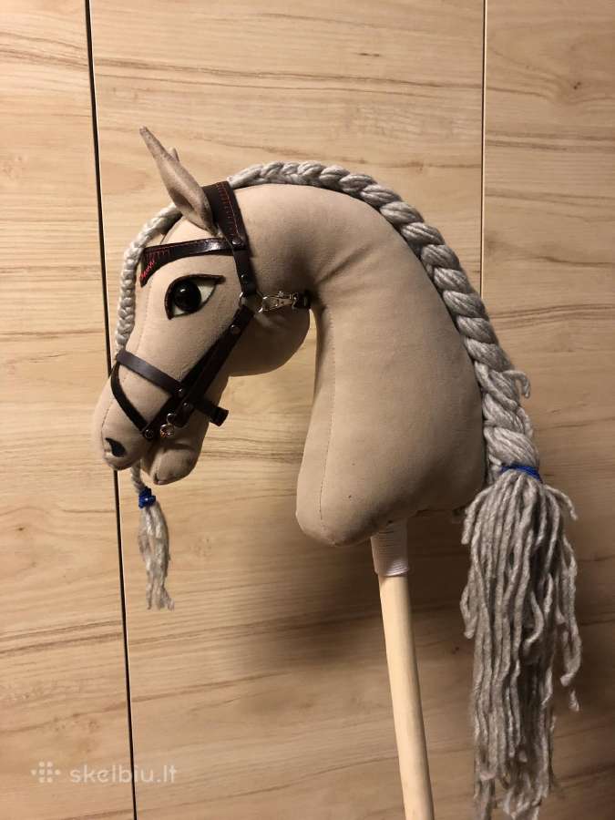 Hobby Horsing Arkliukai - nuotraukos Nr. 15
