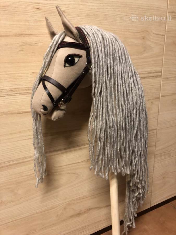 Hobby Horsing Arkliukai - nuotraukos Nr. 16
