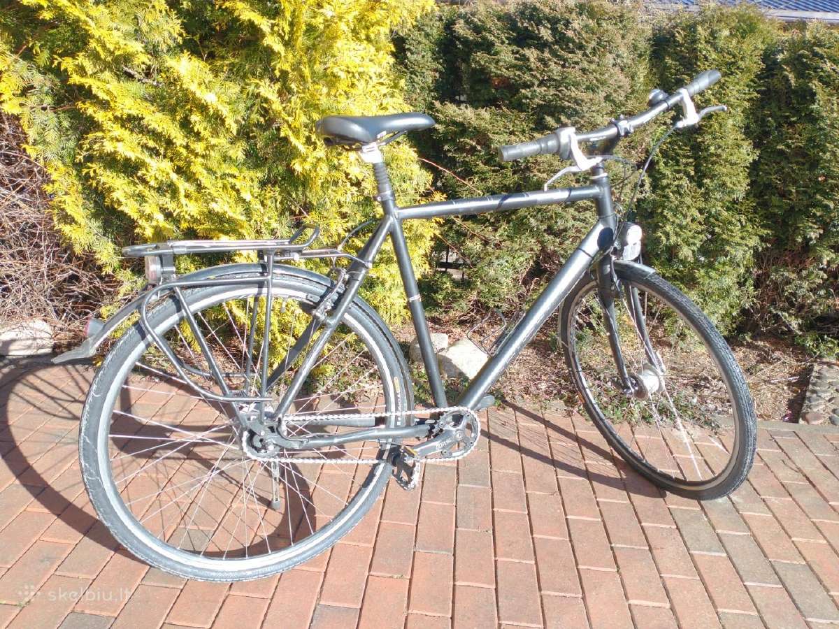 Dviratis Focus Wasgo XL - nuotraukos Nr. 5