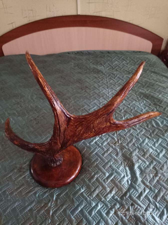 Ragai