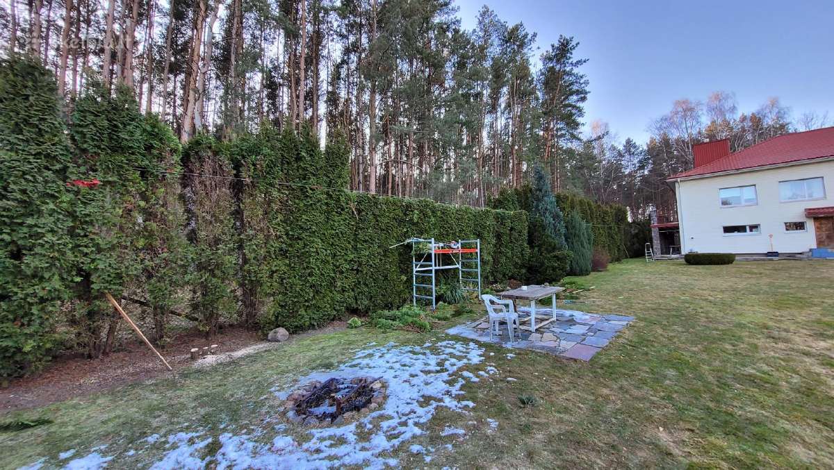 Žolės pjovimas, Gyvatvorių genėjimas - nuotraukos Nr. 22