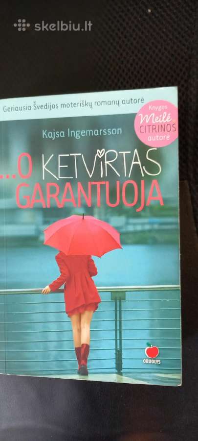 Knyga meilės romanas