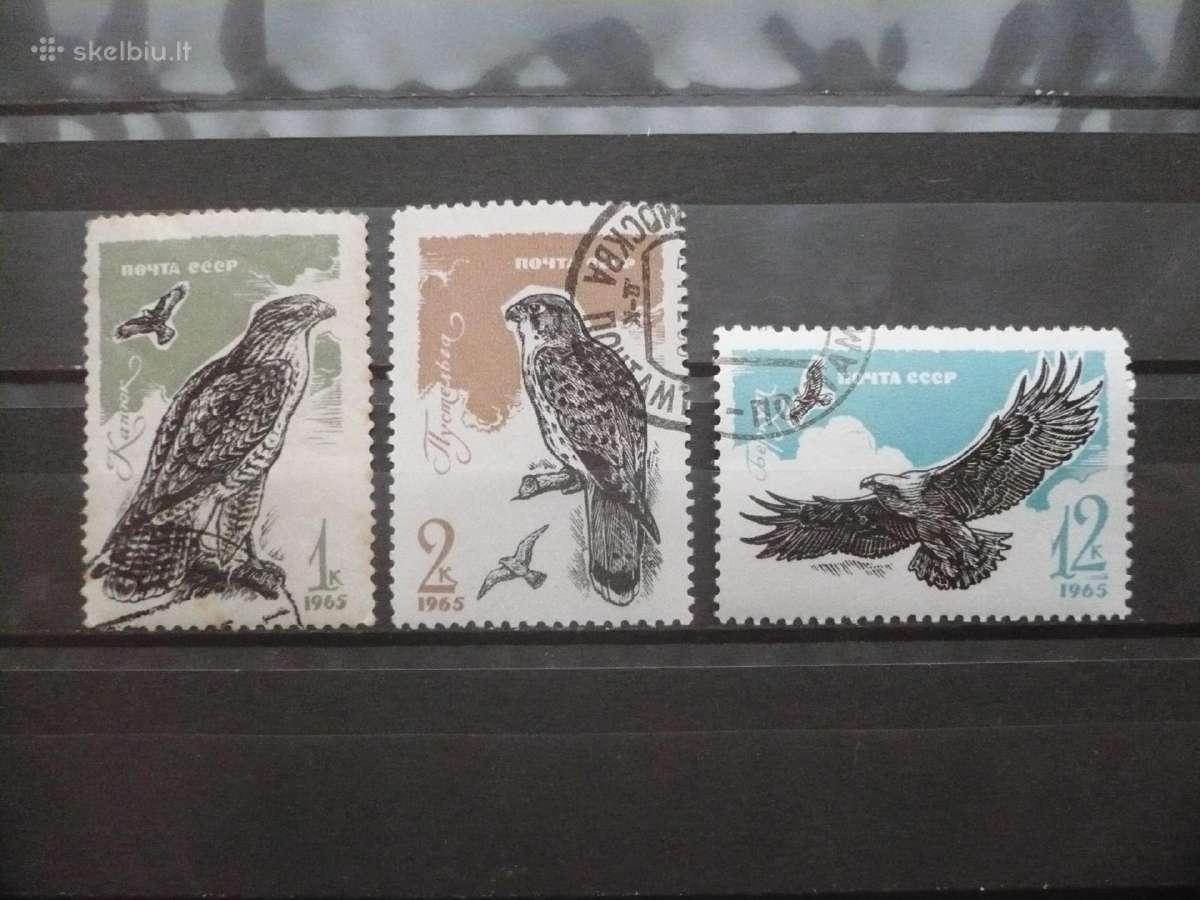 1965 m. Plėšrieji paukščiai