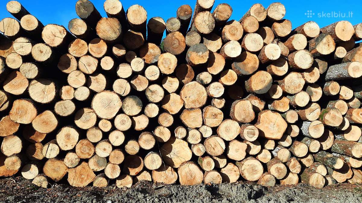 Brangiai perkame juodalksnio ir liepos rąstus - nuotraukos Nr. 2