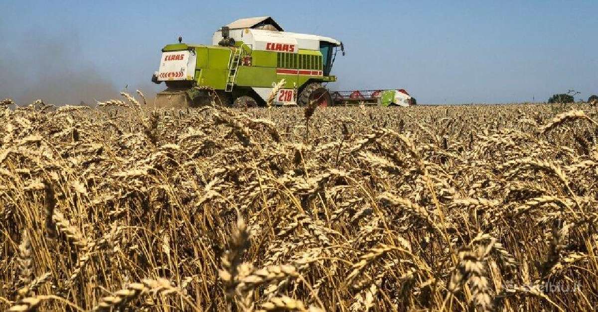 Brangiai nuomočiau žemę Rokiškio rajone