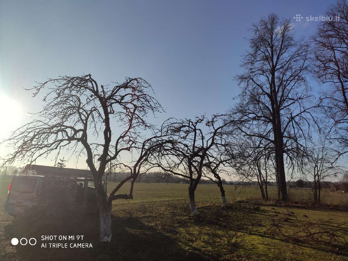 Vaismedžių genėjimas, gyvatvorių karpymas - nuotraukos Nr. 18