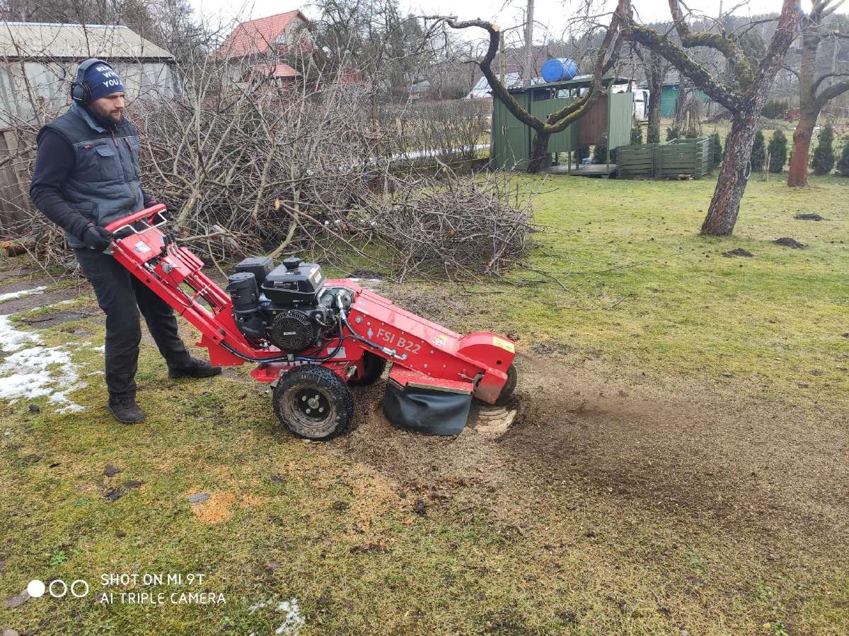 Vaismedžių genėjimas, gyvatvorių karpymas - nuotraukos Nr. 24