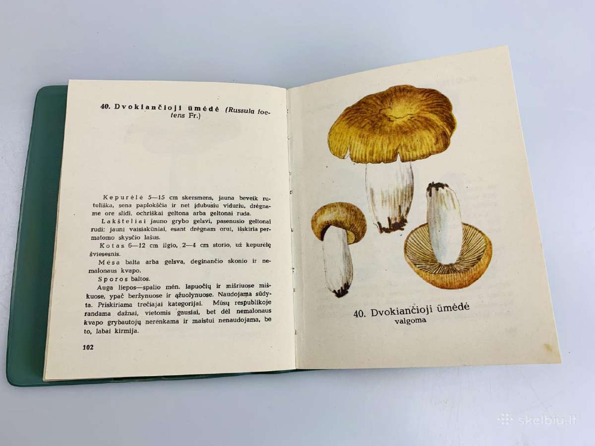 Knyga Grybai 1970m - nuotraukos Nr. 4