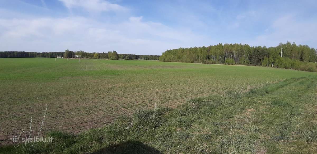 Namų valdos sklypai šalia Panevėžio miesto.