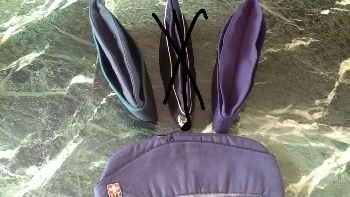 Ivairiiu saliu pilotes