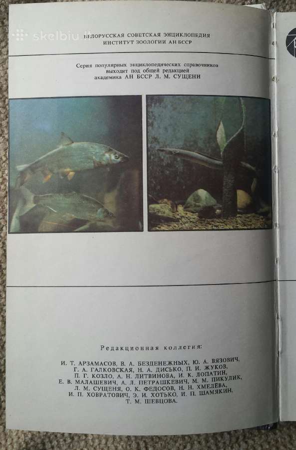 1989 populiarus enciklopedinis žuvų vadovas Жуков - nuotraukos Nr. 2