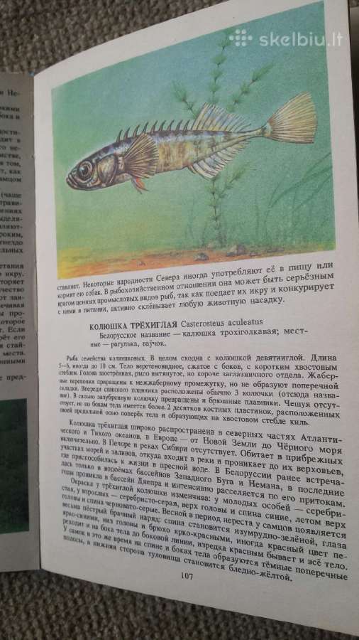 1989 populiarus enciklopedinis žuvų vadovas Жуков - nuotraukos Nr. 5