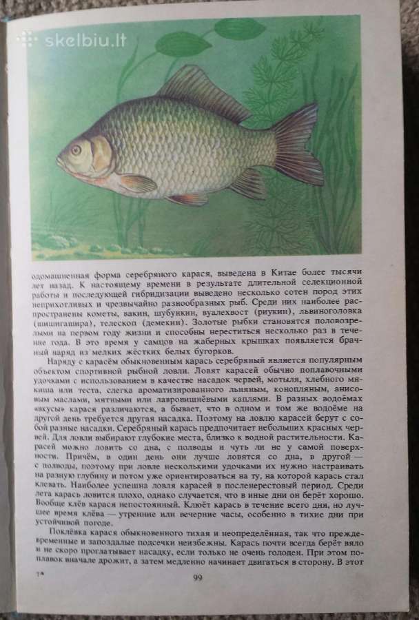 1989 populiarus enciklopedinis žuvų vadovas Жуков - nuotraukos Nr. 6