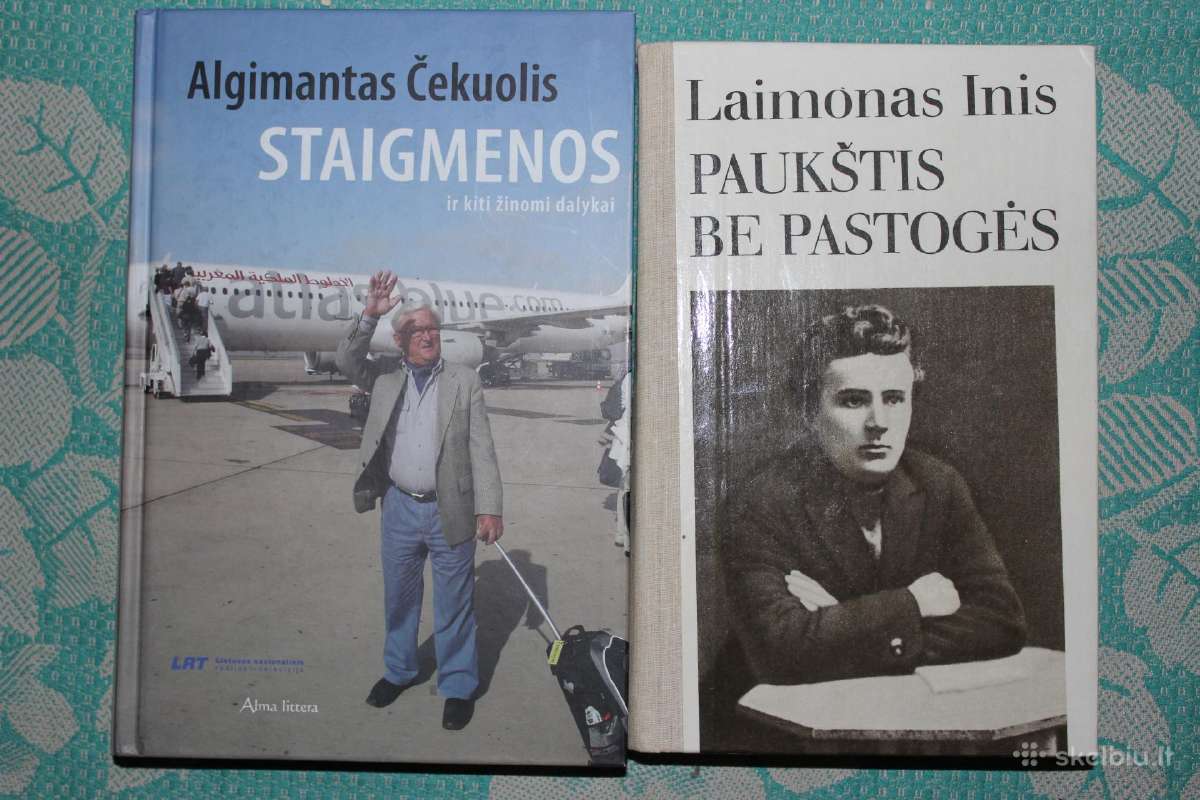 A. Čekuolis. L. Inis "Paukštis be pastogės"