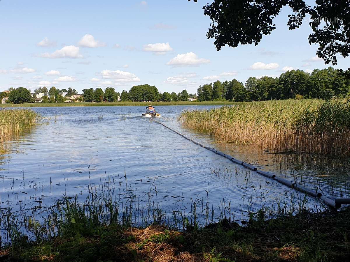 Paplūdimių įrengimas,nendrių naikinimas Molėtų raj - nuotraukos Nr. 4
